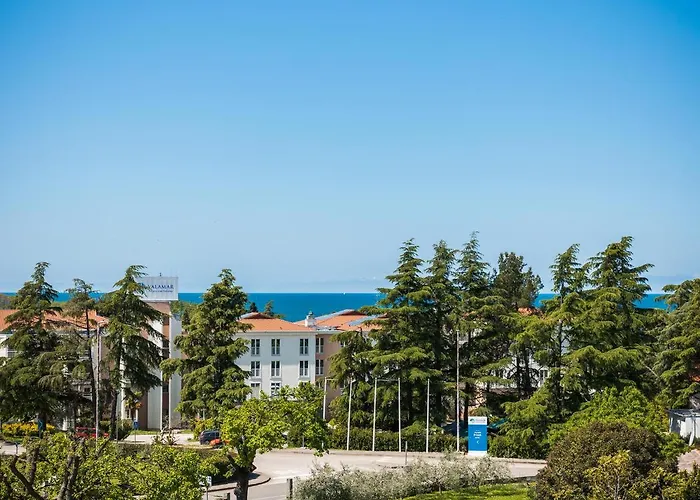 Spadici ポレッチ