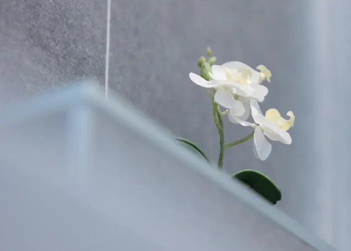 Spadici アパート