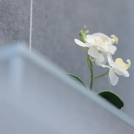 Spadici Appartement